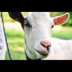 Meet your Posher, Tori